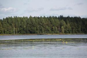 paysages lacustres lettons en été photo