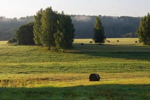 paysages d'été lettons photo