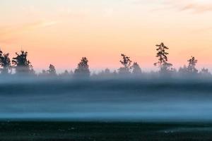 paysages d'été lettons photo