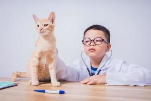 médecin de sexe masculin asiatique examinant un chat photo