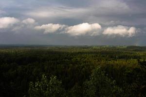 paysages d'été lettons avec des rouleaux de foin photo