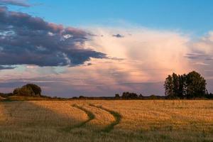 paysages de lettonie en été photo