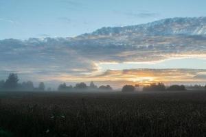 paysages lacustres de lettonie en été photo