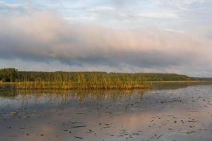 paysages lacustres de lettonie en été photo