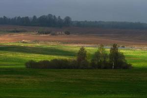 paysages printaniers lettons photo