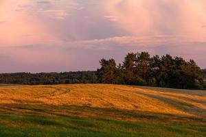 paysages lacustres de lettonie en été photo