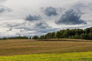 paysages d'été en lettonie photo