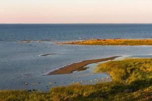 paysages d'été de l'île de mmuhu photo