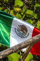 drapeau mexicain vert blanc rouge à playa del carmen mexique. photo