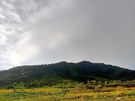 beau paysage naturel pendant la journée photo