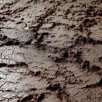 boue ou sol texture humide photo