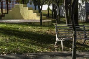 Banc vide dans un parc avec des arbres en arrière-plan sur la lumière du soleil entrant dans l'herbe photo