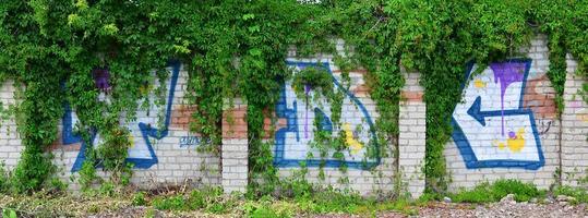 une image détaillée d'un dessin de graffiti coloré, qui est envahi par les fourrés de lierre. image d'art de rue de fond photo