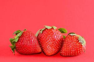 fraises isolées sur fond rouge photo