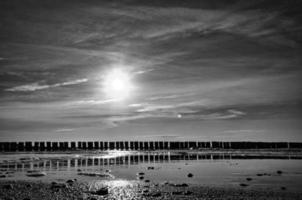 au coucher du soleil les épis montent dans la mer en prise noir et blanc. le soleil brille photo