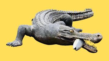 crocodile mangeant du poisson photo