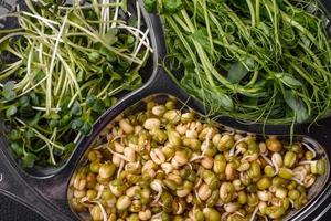 un ensemble ou un mélange de micro-pousses de pois, de moutarde et de haricots mungo germés dans une boîte en plastique portionnée photo