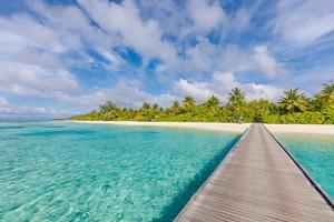 belle île des maldives tropicales avec plage, mer exotique et cocotiers sur ciel bleu pour le concept de fond de vacances de luxe nature vacances. accélérer le traitement des couleurs. destination de voyage d'été