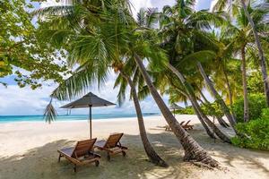 nature de plage tropicale comme paysage d'été avec chaises longues et palmiers mer calme pour la bannière de détente de plage. paysage de voyage de luxe, belle destination pour des vacances ou des vacances. couple plage scénique photo