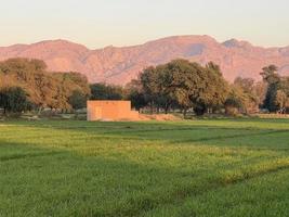 montagnes et arbres sur un terrain photo