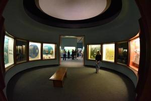 Washington DC, USA - 17 mai 2018 - musée d'histoire naturelle plein de visiteurs photo