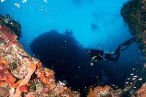 plongeur autonome sous l'eau près de poissons de pierre dans l'océan photo