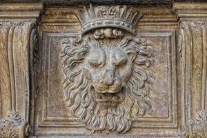 palazzo pitti lion photo