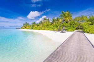 belle plage avec pont en bois et palmier vert sur l'île des maldives. paysage tropical parfait, mer bleue et ambiance apaisante. complexe de luxe exotique et vacances d'été, inspirer l'arrière-plan du voyage photo