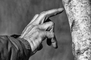 main d'homme sur un arbre en noir et blanc photo