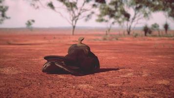 vieille selle mexicaine décorée allongée sur le sable photo