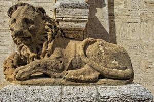 lion de l'église de san quirico photo