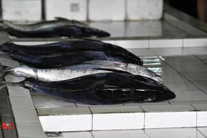 homme, maldives - 4 mars 2017 - personnes achetant au marché aux poissons photo