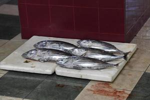 homme, maldives - 4 mars 2017 - personnes achetant au marché aux poissons photo