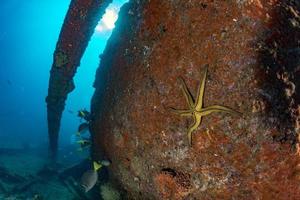 Épave du Liberty Ship à Bali Indonésie Océan Indien photo