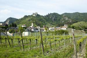 campagne de la ville de durnstein et ruines du château photo