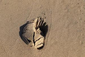 empreintes de pas dans le sable au bord de la mer photo