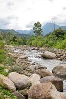 débit d'eau du ruisseau de la montagne.à promkiri, nakhonsithammarat photo