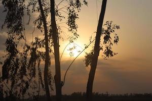 la beauté de la nature au bangladesh photo