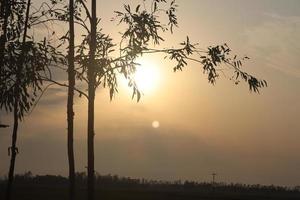 la beauté de la nature au bangladesh photo