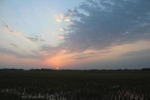 la beauté de la nature au bangladesh photo