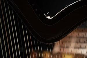 Détail cordes harpe close up isolé sur noir photo
