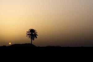 maroc marrakech lever du soleil désert vue photo