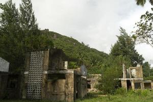 resort abandonné dans la jungle tropicale photo