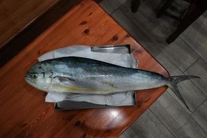 coryphène au marché aux poissons photo