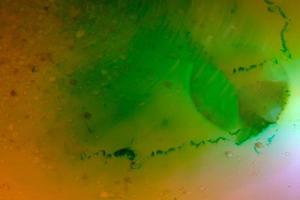 abstrait peinture fond vert et orange photo