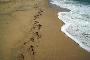 marcher sur la plage de nantucket océan atlantique photo