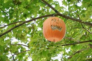 citrouille d'halloween sculptée suspendue à un arbre photo