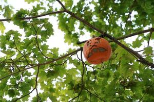 citrouille d'halloween sculptée suspendue à un arbre photo