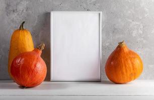 composition avec citrouilles et cadre blanc vide sur une table en bois blanche sur fond de béton. maquette. photo