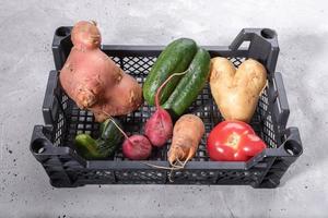 gros plan ensemble de légumes moches mûrs dans une boîte en plastique sur fond de béton gris. photo